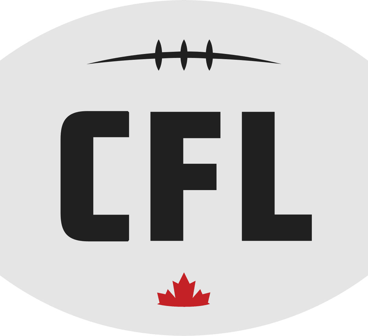 Customer Logo