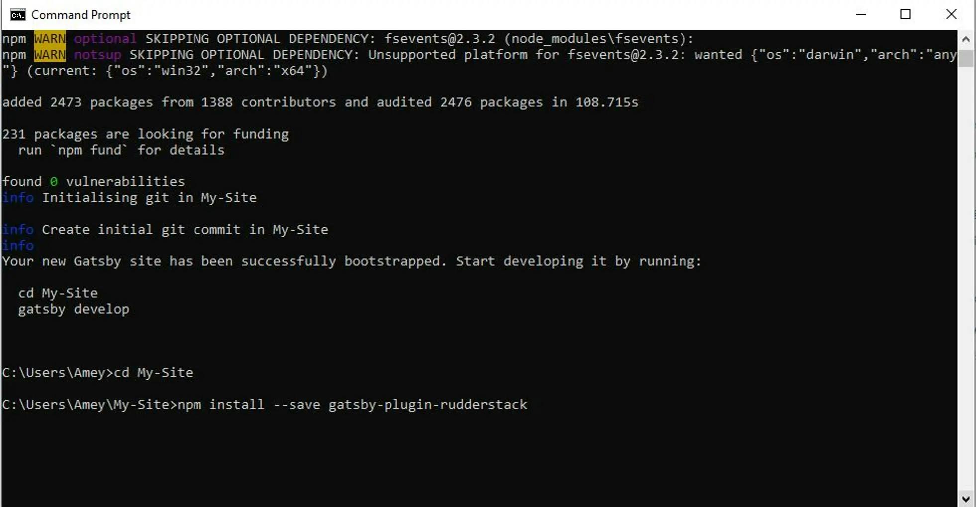 screenshot of npm install