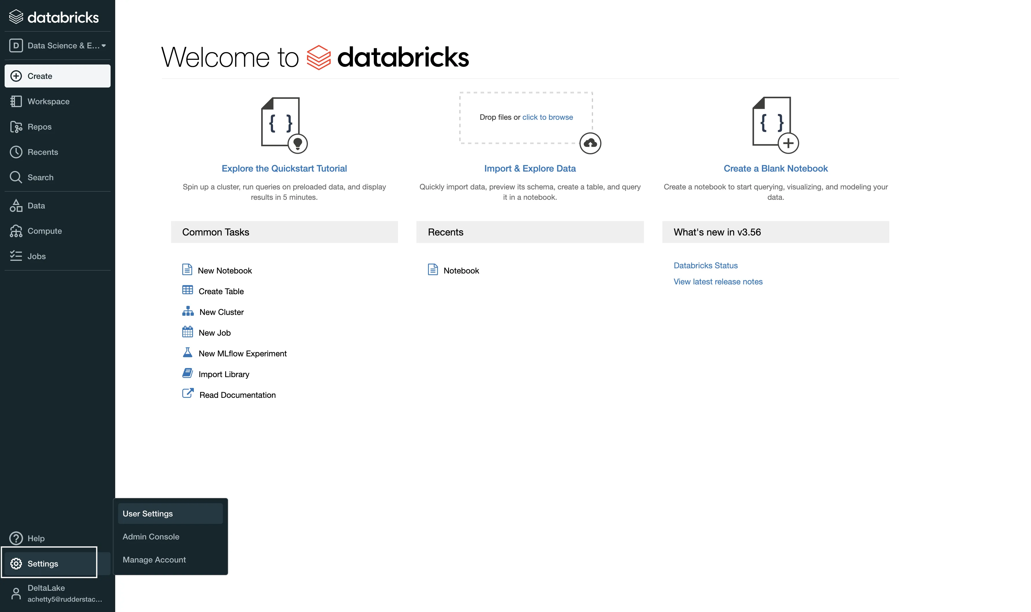Databricks user settings