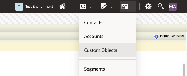 Custom objects option in Eloqua dashboard